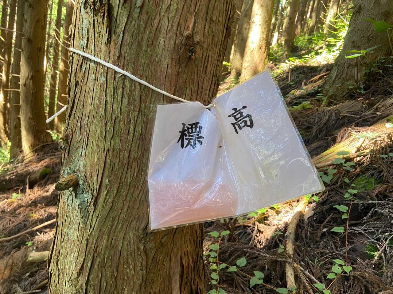「標高？」
何か書いてあったのかな？