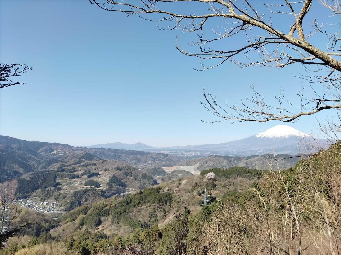 大野山登り口-大野山 往復コースの写真