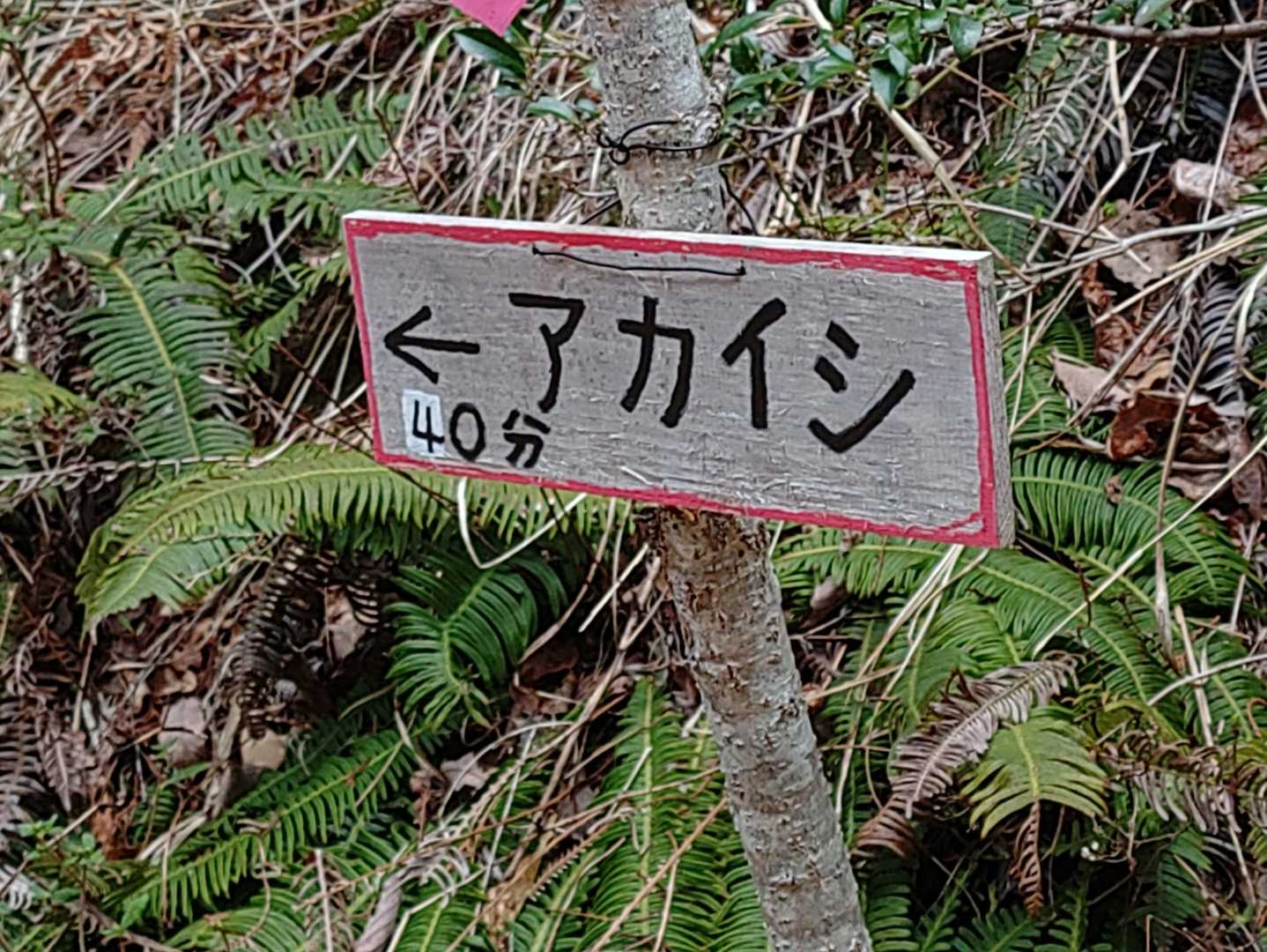 アカイシまで40分