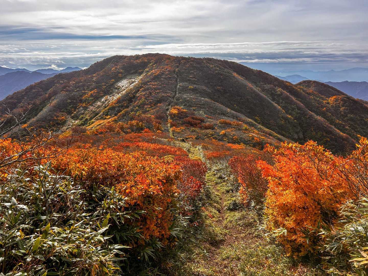 二王子岳登山口-一王子神社-定高山-三王子神社-二王子岳- 往復コースの写真