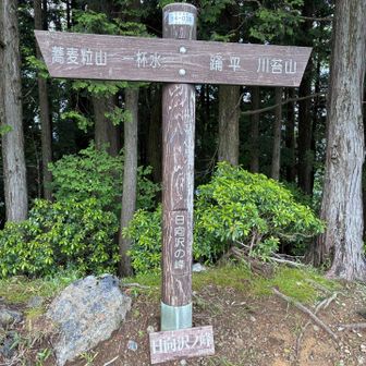 本日の山行で最高地点となる日向沢ノ峰1,354m。