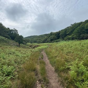 御池岳に行きます。
鹿🦌がメチャクチャいるんですけど…