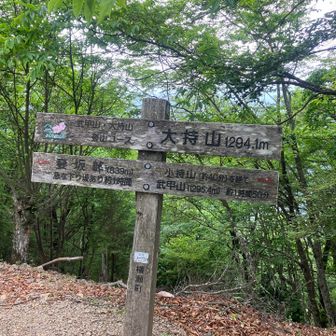 大持山！妻坂峠…なに！急な下りだってwww
丹沢の風巻ノ頭、想像してた。。💧
全然急じゃないねー。。良かった。😌
