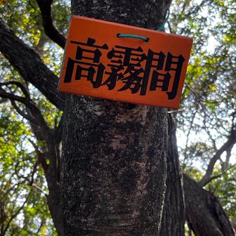 高霧山
良く調べてますよね、kitayamaさん、プレート印刷して持ってくるんですから
地元勢のプレート無し