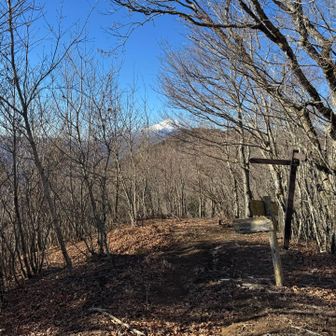 富士山みえる🙆‍♀️