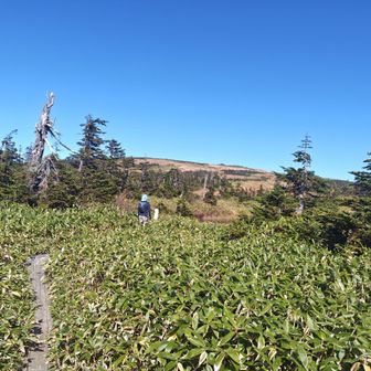 龍ノ峰のピークは踏めてたけど山頂標識は見つけられなかった