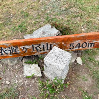 山頂に到着です