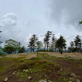 山頂は広く、ゆっくり休憩しました。