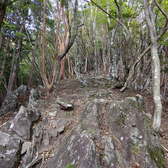 岩岩してきました