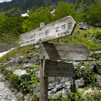 C74 北岳草 北岳(大樺沢雪渓↑ 草スベリ↓)+W中白根 / Co-CHeの登山