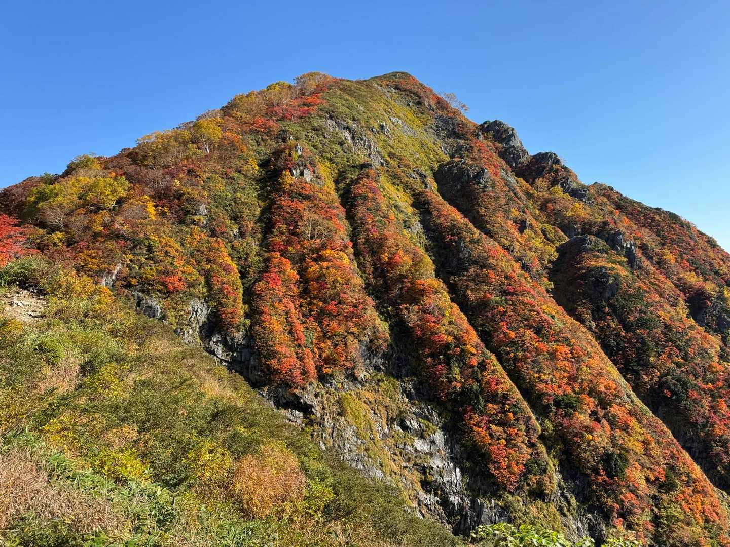 紅葉の小朝日岳😉