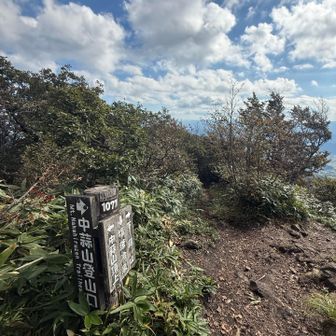 中蒜山の分岐、下蒜山方面はしばらく下り
苦手な下り、急ぐけど、注意⚠️しております