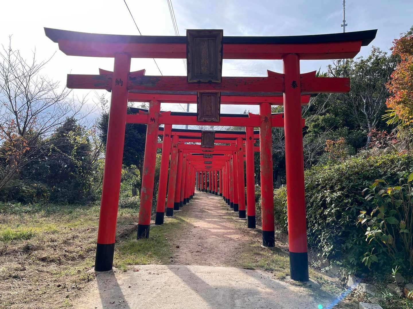 須磨浦公園駅-須磨浦公園駅-須磨浦公園駅前バス停-旗振山- 縦走コースの写真