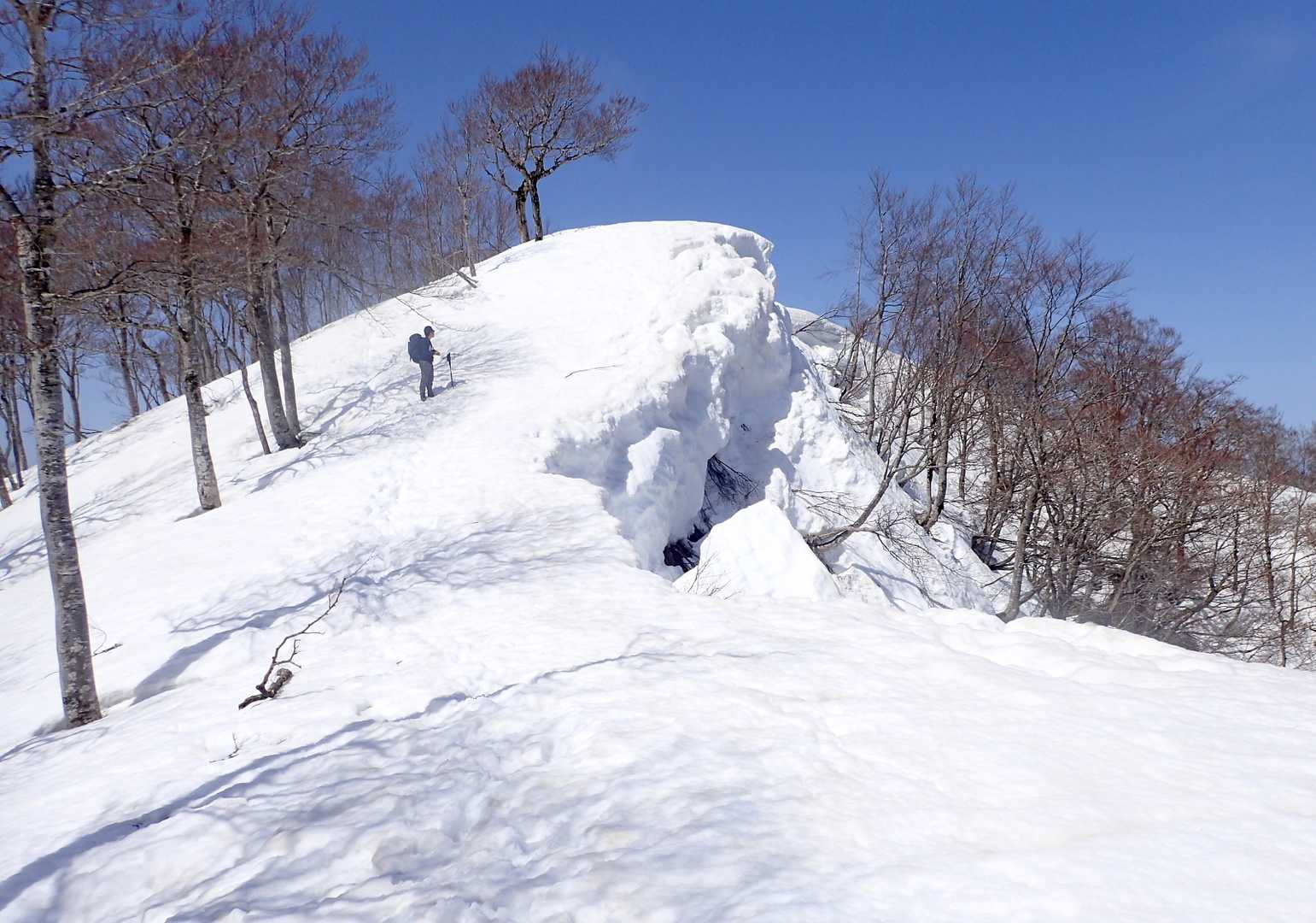 栃谷登山口-片折岳-金剛堂山-中金剛堂山 往復コースの写真
