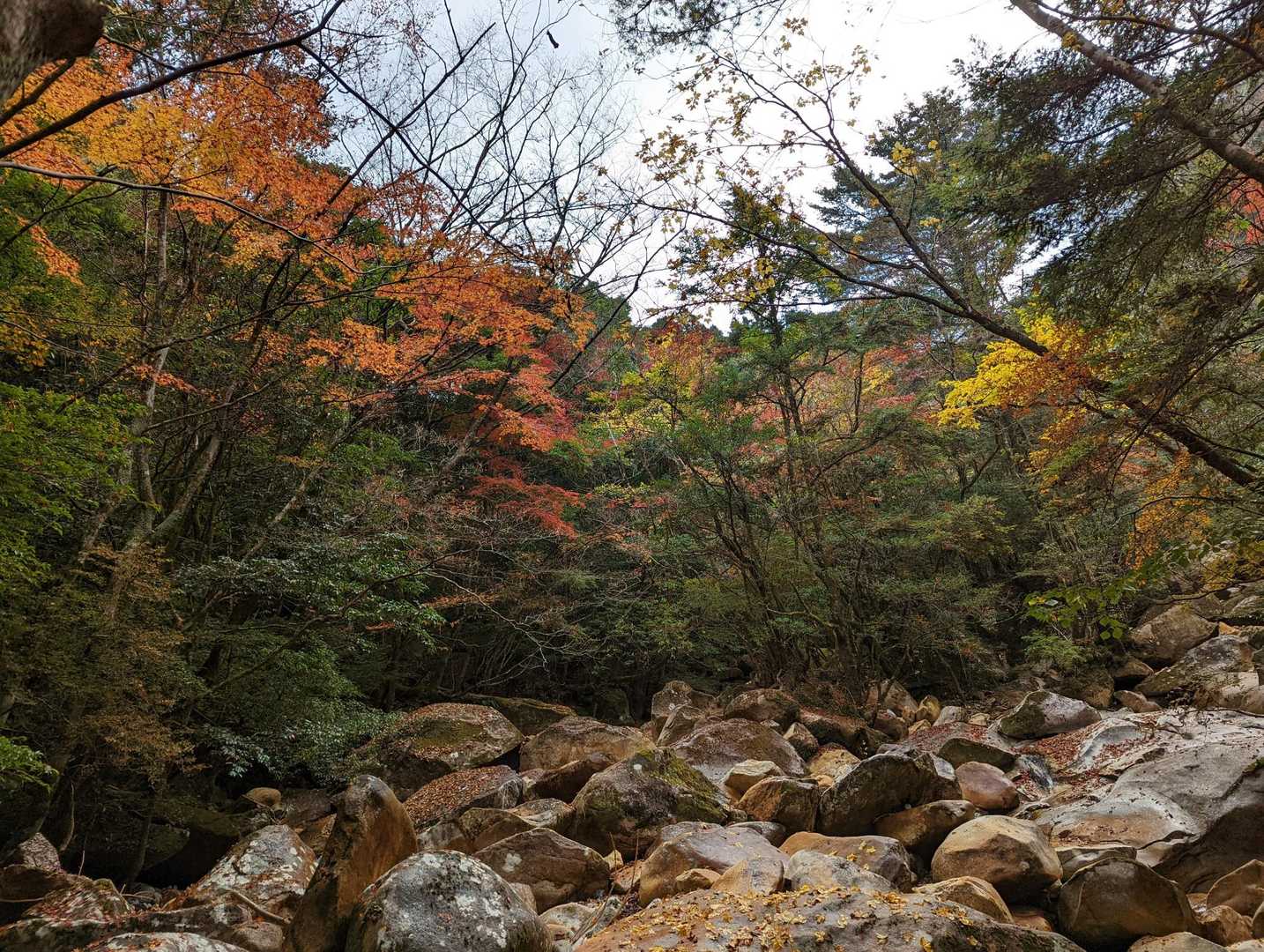木山内岳 往復コースの写真