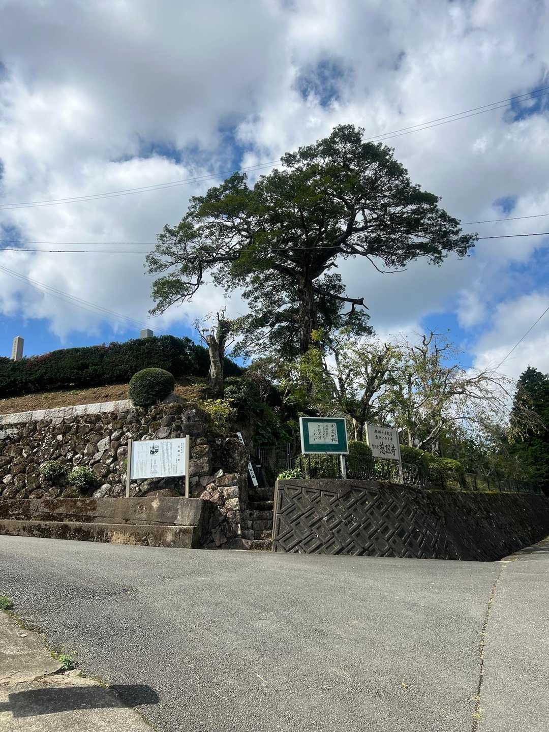 ゼフィルスの森入口-三草山-才ノ神峠-滝王山-牛の子峠-牛 縦走コースの写真