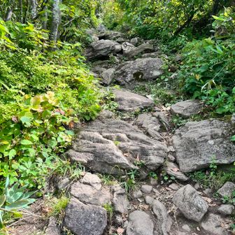 最後の登り！