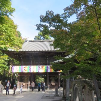 薬王院
紅葉のピークはまだまだ先ですね