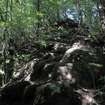 さて、これを登れば山頂だ！