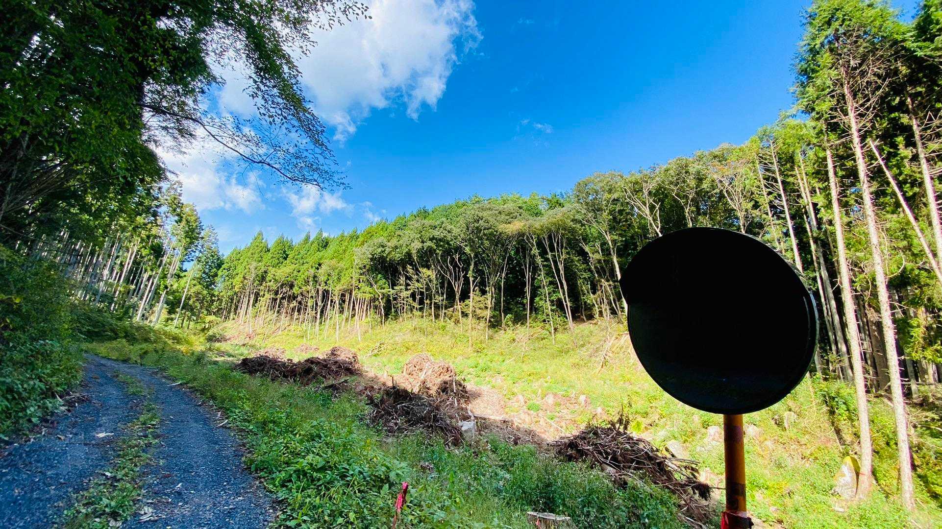 竪破山登山道入口-黒前神社二の鳥居-竪破山登山口-黒前神社 周回コースの写真