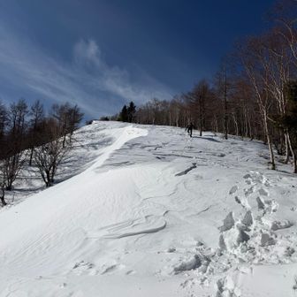 恵那山 / あきひろさんの恵那山・大判山・神坂山の活動データ | YAMAP