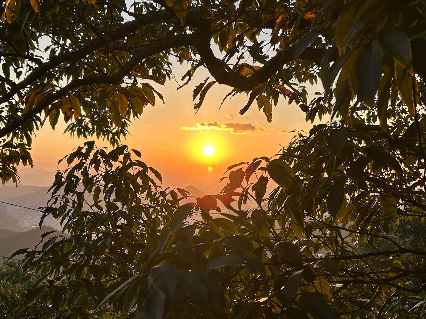 朝陽〜☀️