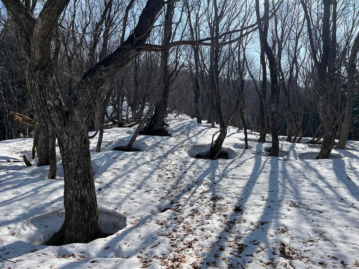 馬の背-蘇武岳 往復コースの写真