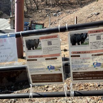 注意喚起と目撃情報