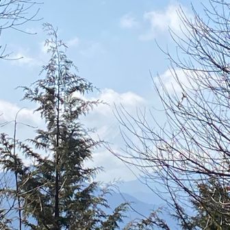 すげー分かりにくいけど、白い雲の後ろに白い雲をバックに背負った雪化粧の富士山が見えました。写真じゃわからないかな～