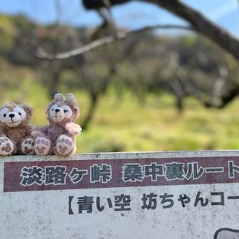 登山口に帰って来ました👍
展望台で写し損ねたダッフィとシェリーメイここで登場🤗