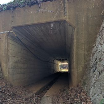 ちゃんと通れますよ〜

トンネルをくぐるのですが…
YAMAPレポでは…