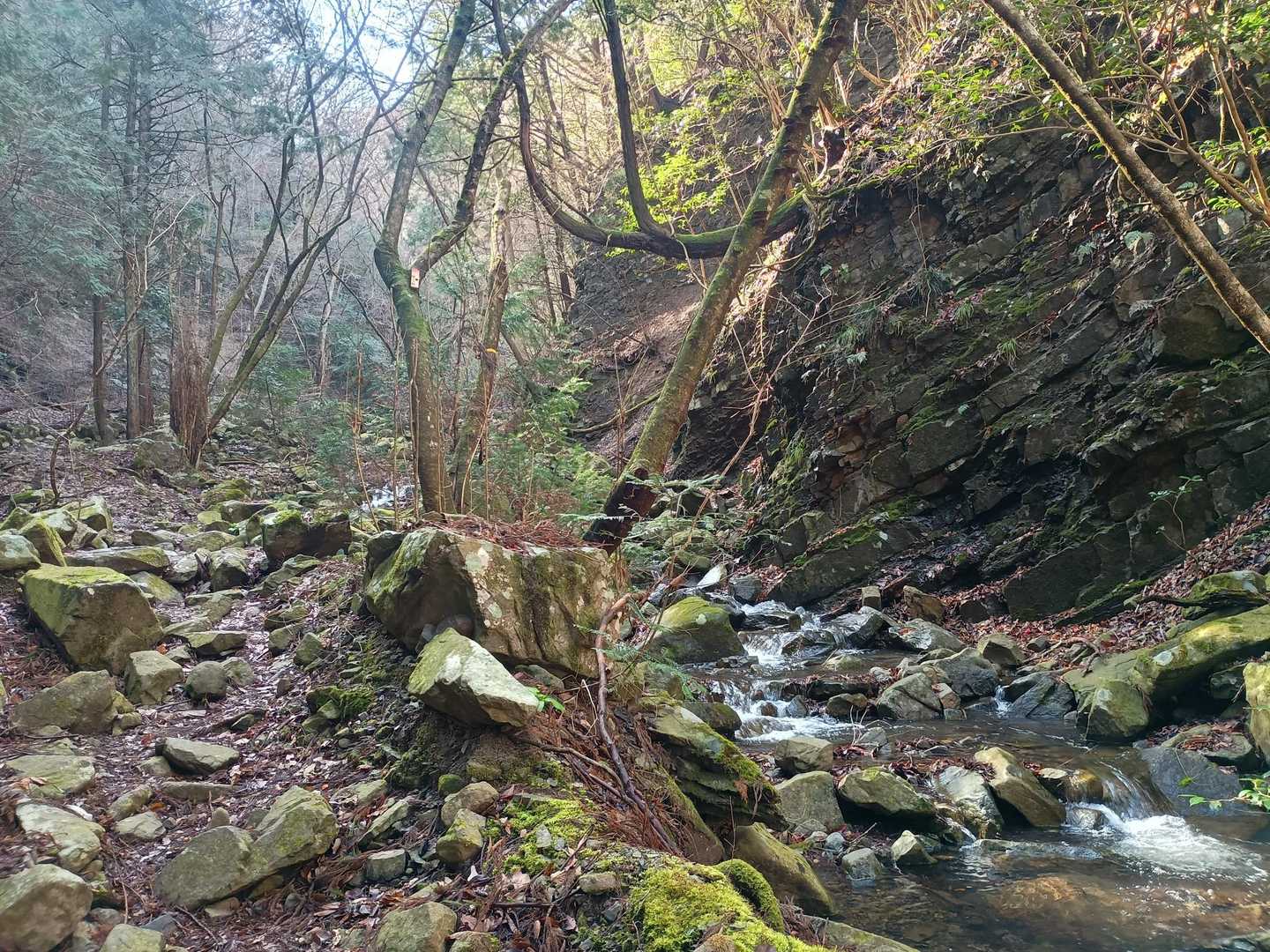 沢沿いを歩きます。