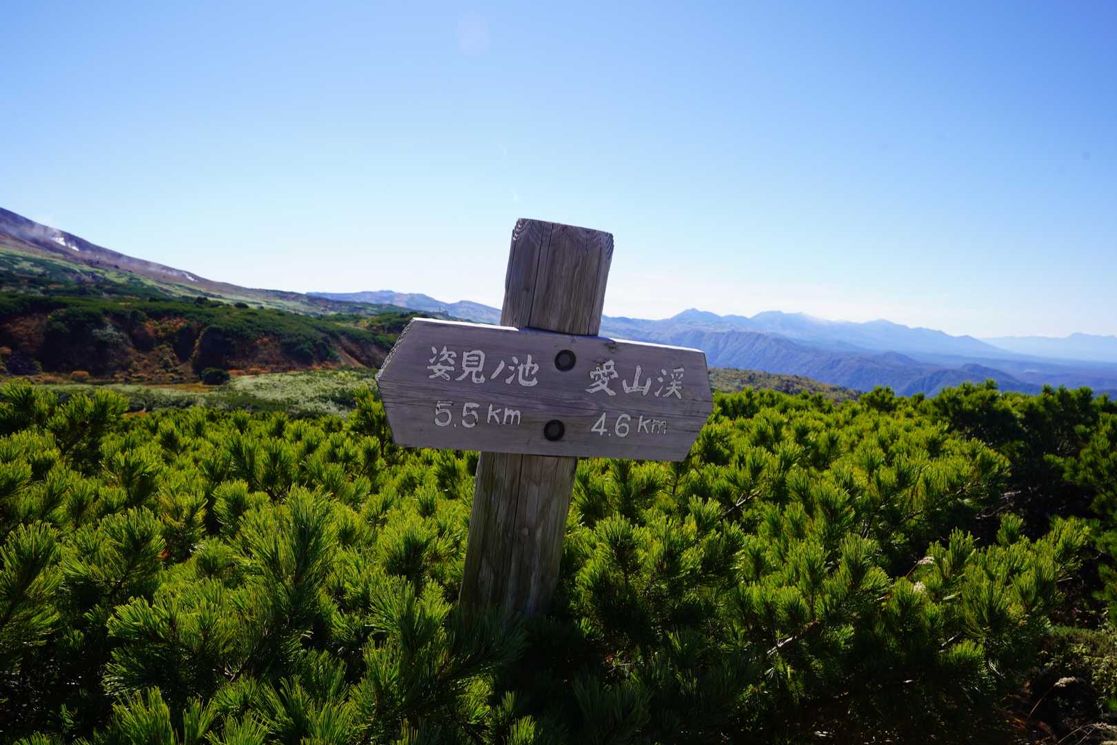富良野岳～十勝岳も見えます