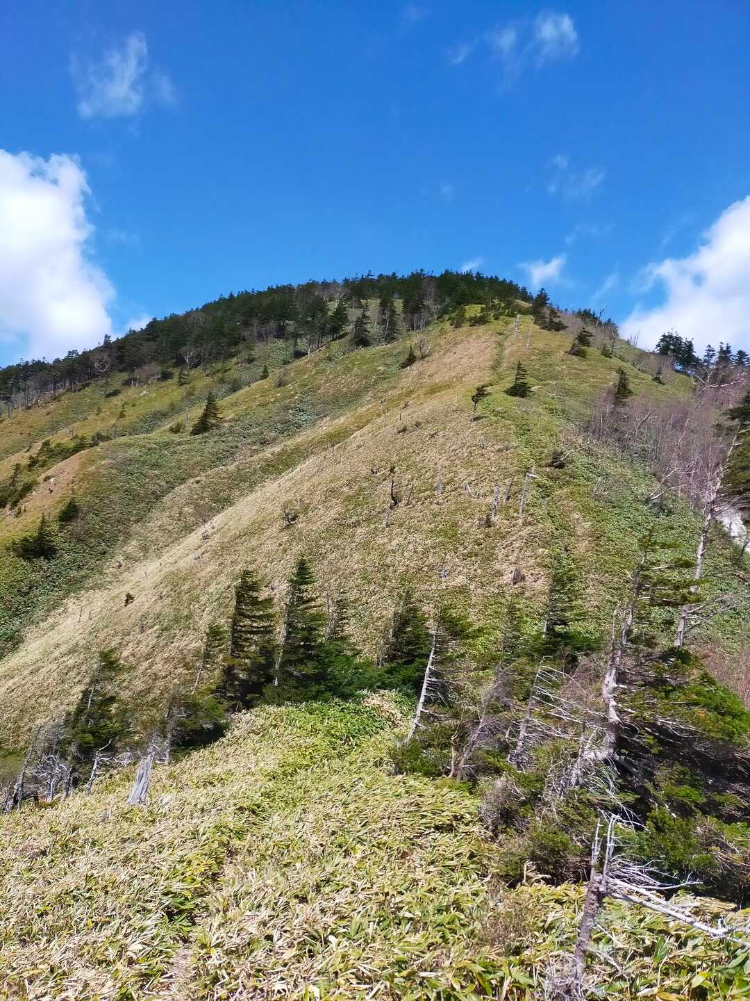 奥念丈岳の写真