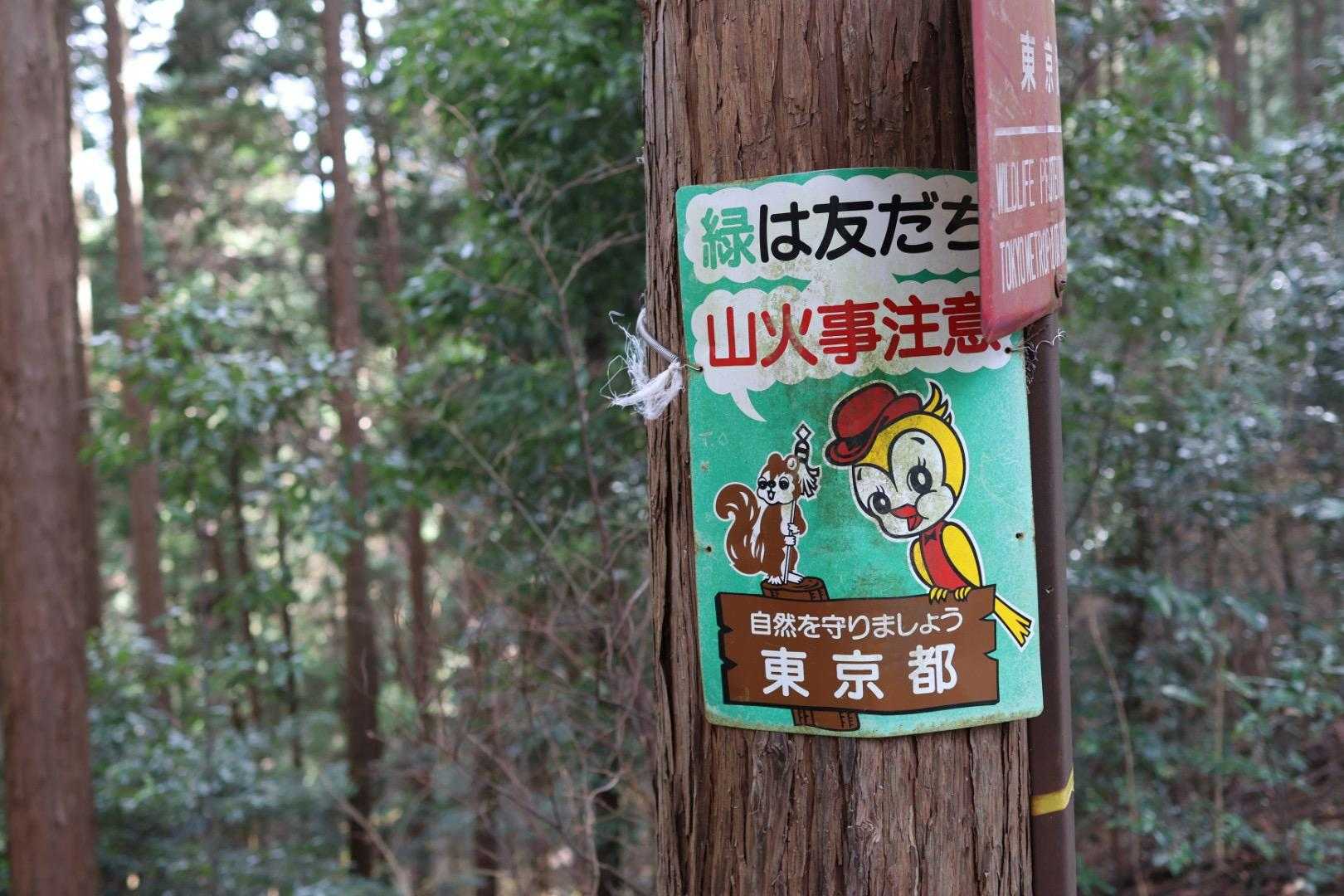 そしてまだまだある🐿️🦜🤗