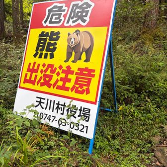 ヒグマの画像だって、、