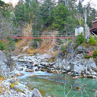 薬師沢を下り、薬師沢小屋に辿り着く。
水清く 岩魚遊ぶ。ここも絶景だった。