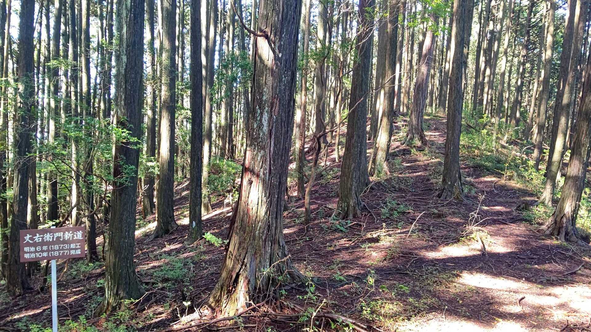 ここ👈️左    昔の 街道?