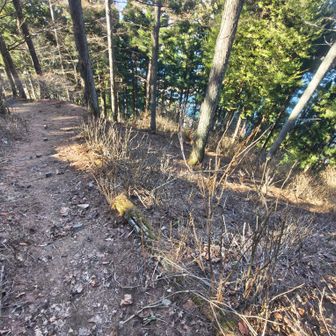 あじさいロード
木無山辺りでスライドしたトレランの方２往復目『3000(m)くらいの予定です』って👀