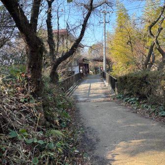 第二展望所の前の茶屋　竹屋さん