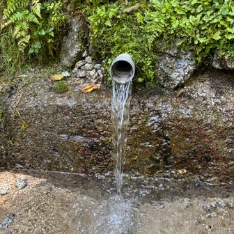 金剛の水💦