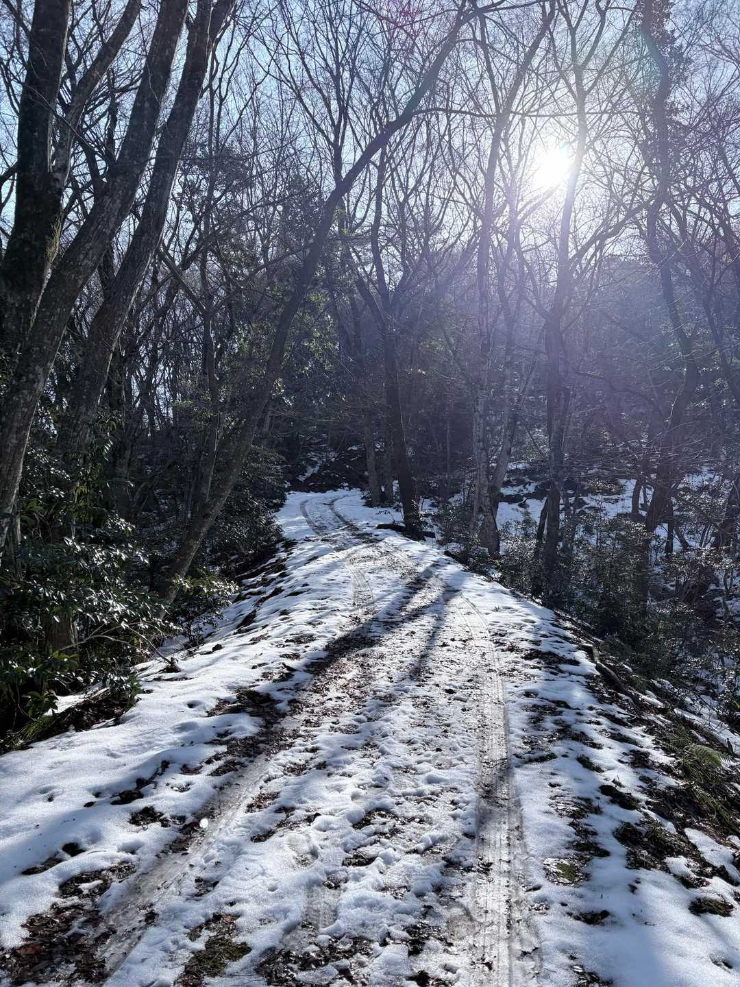 京羅木山 往復コースの写真