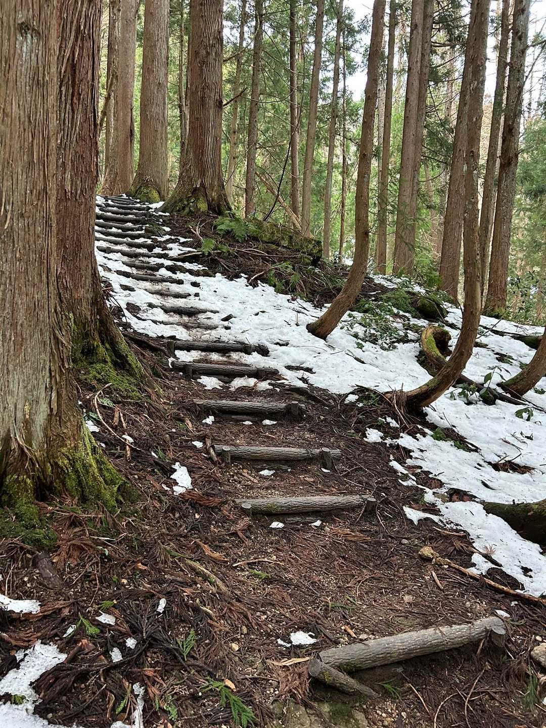 あら、道路や登山口付近は雪☃️がたくさんあるのに登山道は少なく感じる。