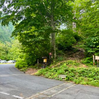 登山口🚶🏻‍♂️💨