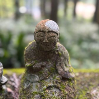 ただいま。🙏

ありがとうございました。