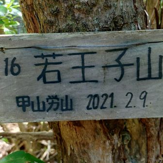 若王子山