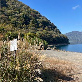 本栖湖🚣釣り人🎣が結構いました