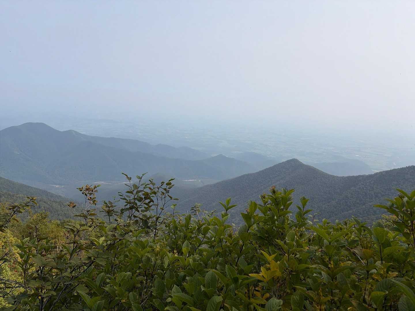 十勝幌尻岳登山口-十勝幌尻岳 往復コースの写真