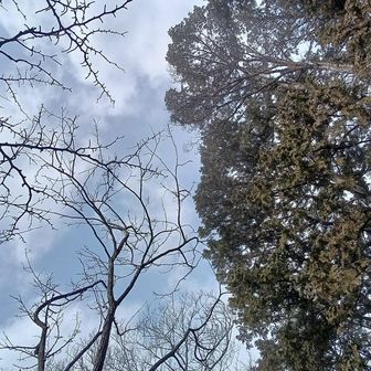 この時間青空が見えて天気好転かと期待…孫に大岳山山頂から富士山を見せてあげたい！