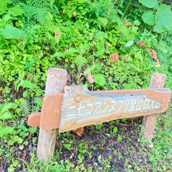 スタート▶️
1年振りです！
次女と姪っ子と登ったんだった！